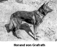 Horand von Grafrath
