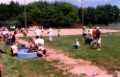 2002 puppu picnic