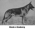 Breed History