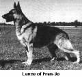 Breed History