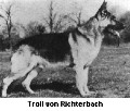 Breed History